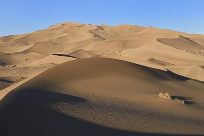 Iran, Province de Yazd, désert du Dasht-e Kavir, Moghestan, massif dunaire dont la plus haute dune atteint les 200 mètres