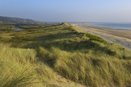 France, Manche, Cotentin, La Hague, cove of Vauville, dunes