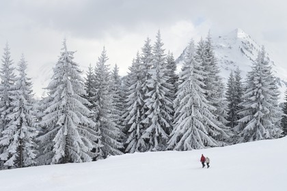 France, Haute Savoie, Morzine