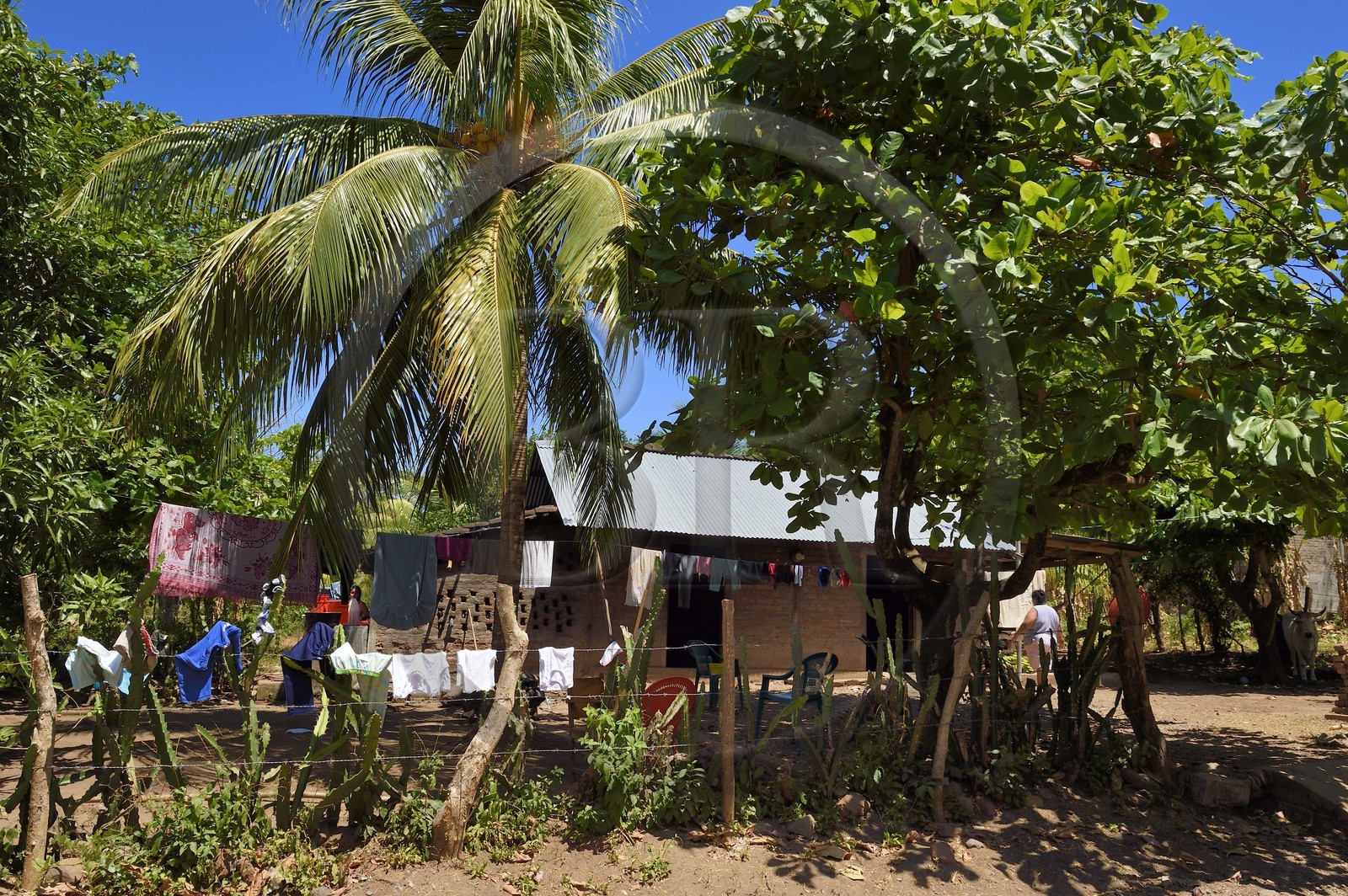 Nicaragua, Ometepe Island in Lake Nicaragua, village of Merida