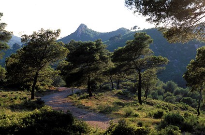 France, Bouches-du-Rhône (13), la montagne Sainte-Victoire
