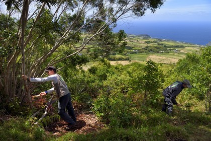 France, Ile de la Reunion, Petite Ile, Tommy et Quentin fonctionnaires de l'OMDAR chargés de l'entretien des sentiers du piton de Mont Vert, champs de cannes à sucre vers Anse-les Bas en arrière plan