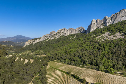 France, Vaucluse (84), Dentelles de Montmirail, Gigondas, la montagne des Dentelles Sarrasines et les vignobles en restanques au col du Cayron, le Mont Ventoux en arrière plan (vue aérienne)