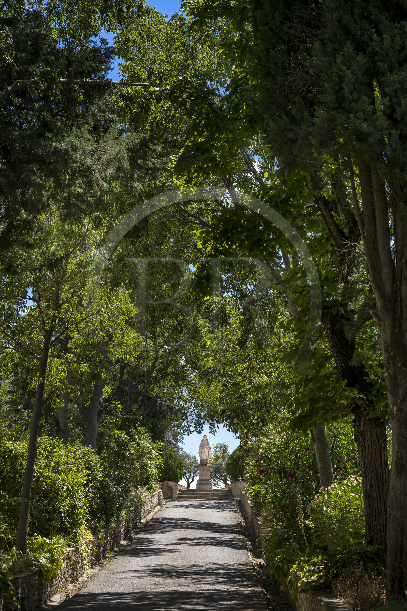 France, Bouches-du-Rhône (13), Tarascon, La Montagnette, abbaye Saint-Michel de Frigolet (XIIe siècle), la Vierge Marie au bout de l'allée arborée