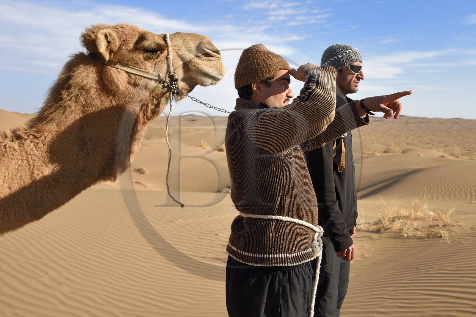 Iran, Province d'Ispahan, désert du Dasht-e Kavir, Mesr dans la région de Khur et Biabanak, chamelier et ses dromadaires dans le désert Iran, Province d'Ispahan, désert du Dasht-e Kavir, Mesr dans la région de Khur et Biabanak, chamelier et ses dromadaires dans le désert