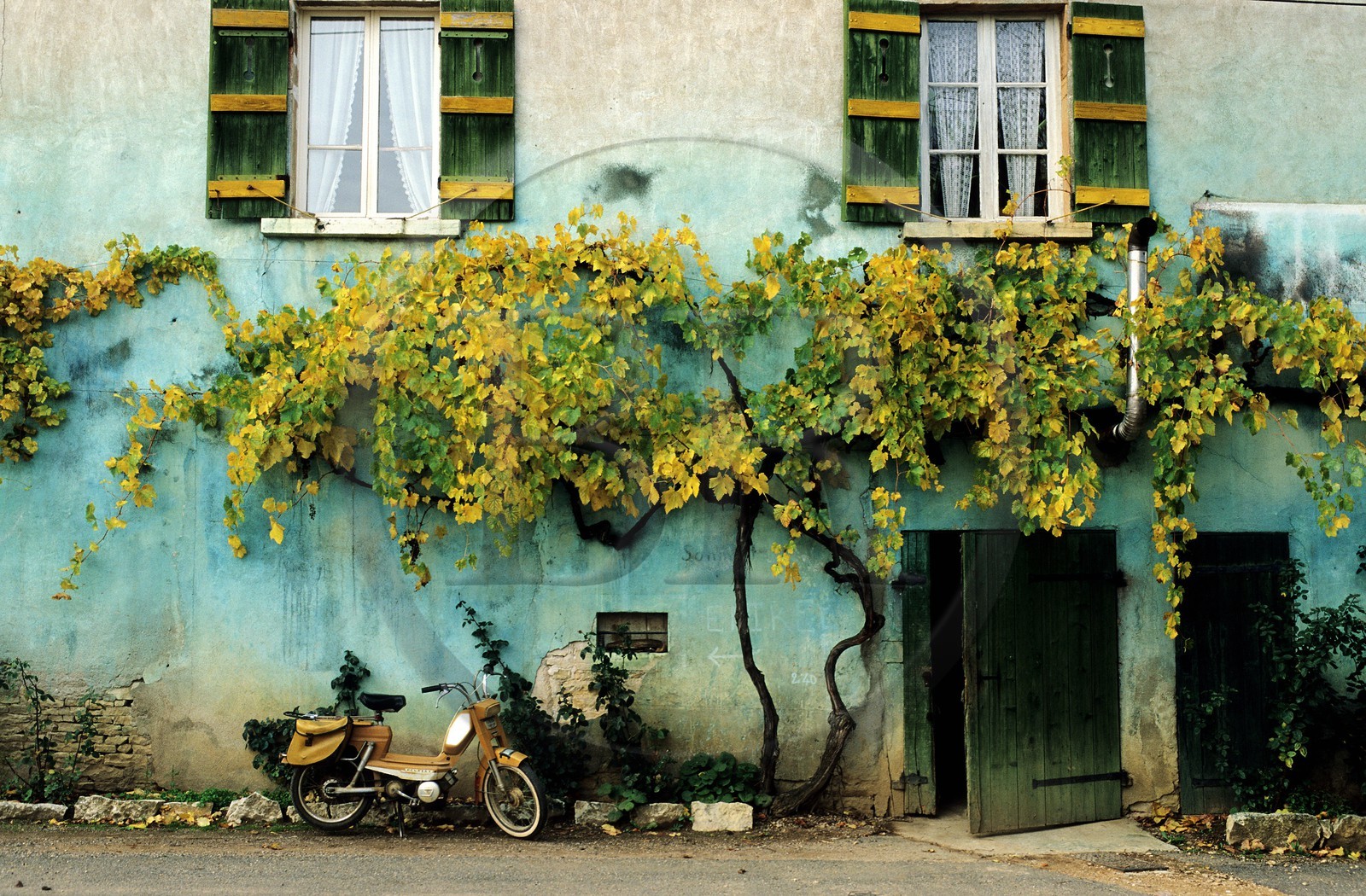 France, Saône-et-Loire (71), Cruzille, Domaine viticole des vignes du Maynes