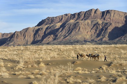 Iran, Isfahan province, Dasht-e Kavir desert, Mesr in Khur and Biabanak County, camel train in a camel trek at the foot of the mountain range of Dareh bidan