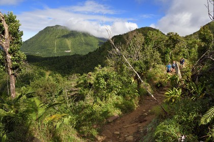 Caribbean, Dominica Island, Castle Bruce, Morne Trois Pitons National Park listed as World heritage by UNESCO, hikers on the trail leading through the rainforest to the Desolation Valley and then to Boiling Lake