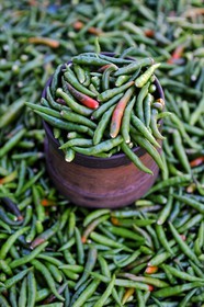 France, Reunion Island (French overseas department), Saint Pierre, market on Saturdays, hot green peppers
