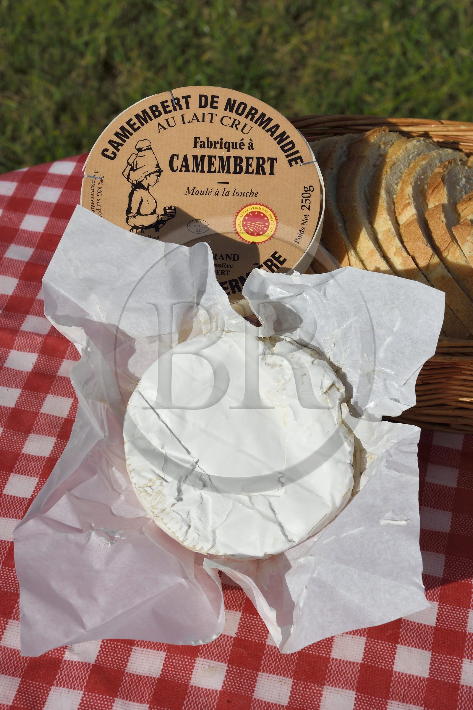 France, Orne, Pays d'Auge, village of Camembert, the Héronnière Farm, AOC unpasteurized milk farm-made Camembert France, Orne, Pays d'Auge, village of Camembert, the Héronnière Farm, AOC unpasteurized milk farm-made Camembert