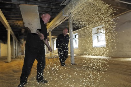 United Kingdom, Scotland, Orkney Islands, Kirkwall,  Highland Park whisky distillery, malting floor