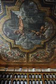 France, Saône et Loire (71), Tournus, l'Hôtel-Dieu, l'apothicairerie