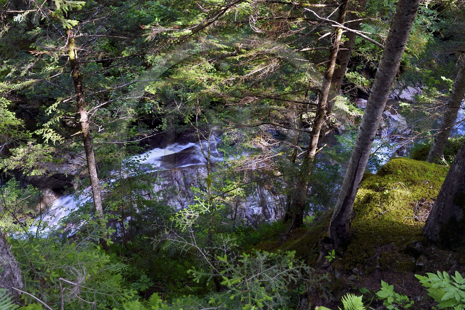 France, Hautes Pyrenees, Saint Lary Soulan, Rioumajou valley, the river Neste de Rioumajou