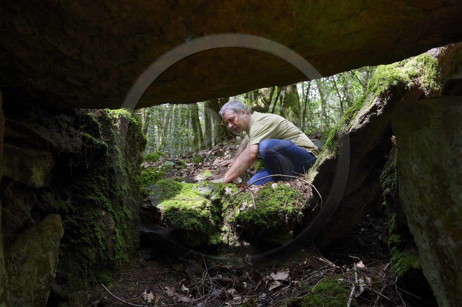 France, Morbihan (56), Trédion, forêt de Coëby, dolmen à couloir avec son cairn encore en place, site mégalithique découvert par l'archéologue Philippe Gouezin encore dans son état brut