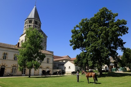 France, Saône et Loire (71), Cluny, le Haras national accolé au clocher de l'Eau Bénite de l'ancienne abbaye