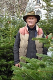 France, Bas Rhin, Strasbourg, old town listed as World Heritage by UNESCO, Christmas market (Christkindelsmarik) in Place Broglie, Daniel Bailly sells fir trees for the Schwoob family, established on the Christmas market for many years