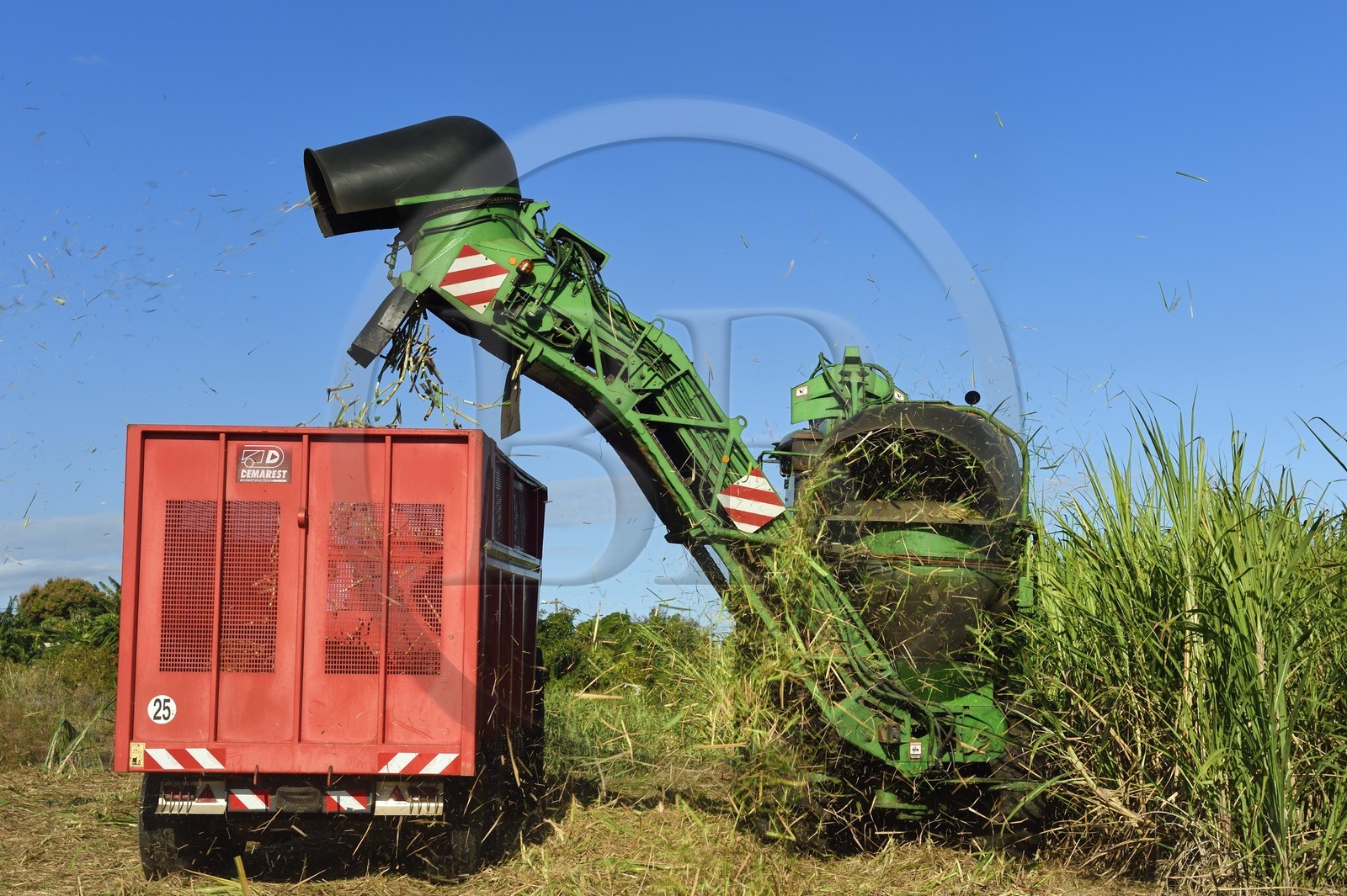 France, Ile de la Reunion, Saint-Louis, récolte mécanique avec une moissonneuse de canne à sucre dans un champ de canne à sucre