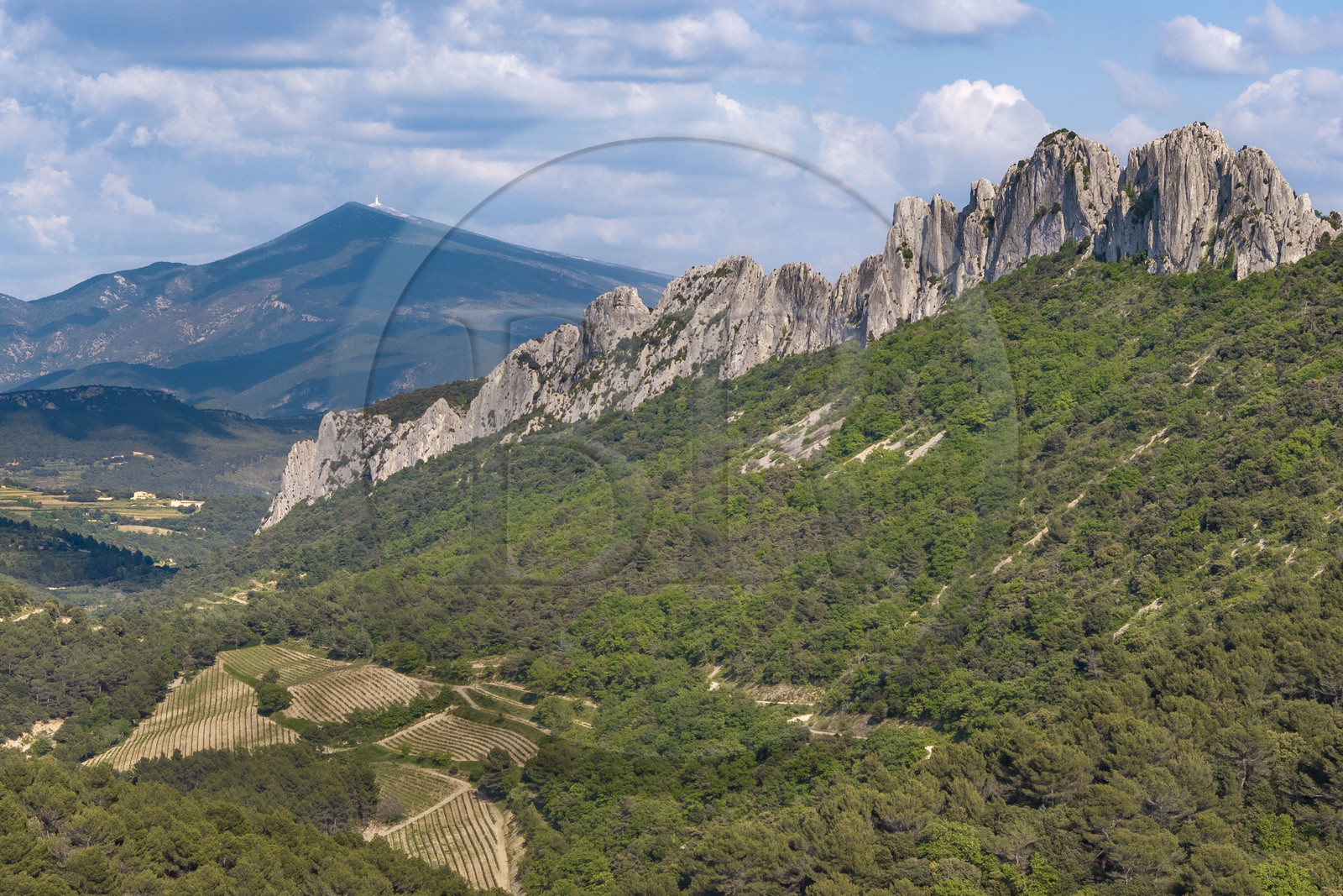 France, Vaucluse (84), Dentelles de Montmirail, Gigondas, la montagne des Dentelles Sarrasines et les vignobles en restanques au col du Cayron, le Mont Ventoux en arrière plan (vue aérienne)