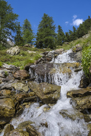 France, Alpes-Maritimes (06), parc national du Mercantour, Haute-Vésubie, Saint-Martin-Vésubie, Val du Haut Boréon, petit ruisseau en bordure du GR 52 vers le refuge de Cougourde