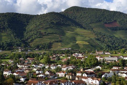 France, Pyrénées-Atlantiques (64), Pays-Basque, Saint-Jean-Pied-de-Port, les vignes de la colline d'Ispoure