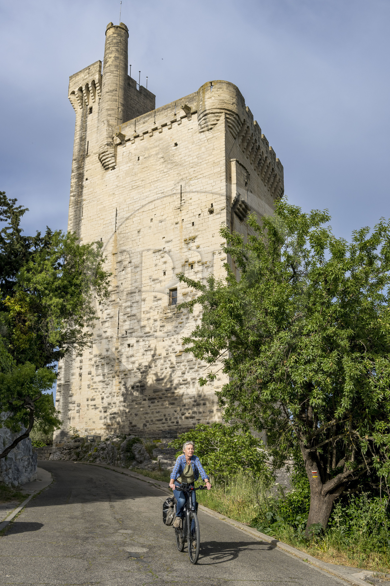 France (30), Gard, Villeneuve-lès-Avignon, la tour Philippe Le Bel du XIVe siècle
