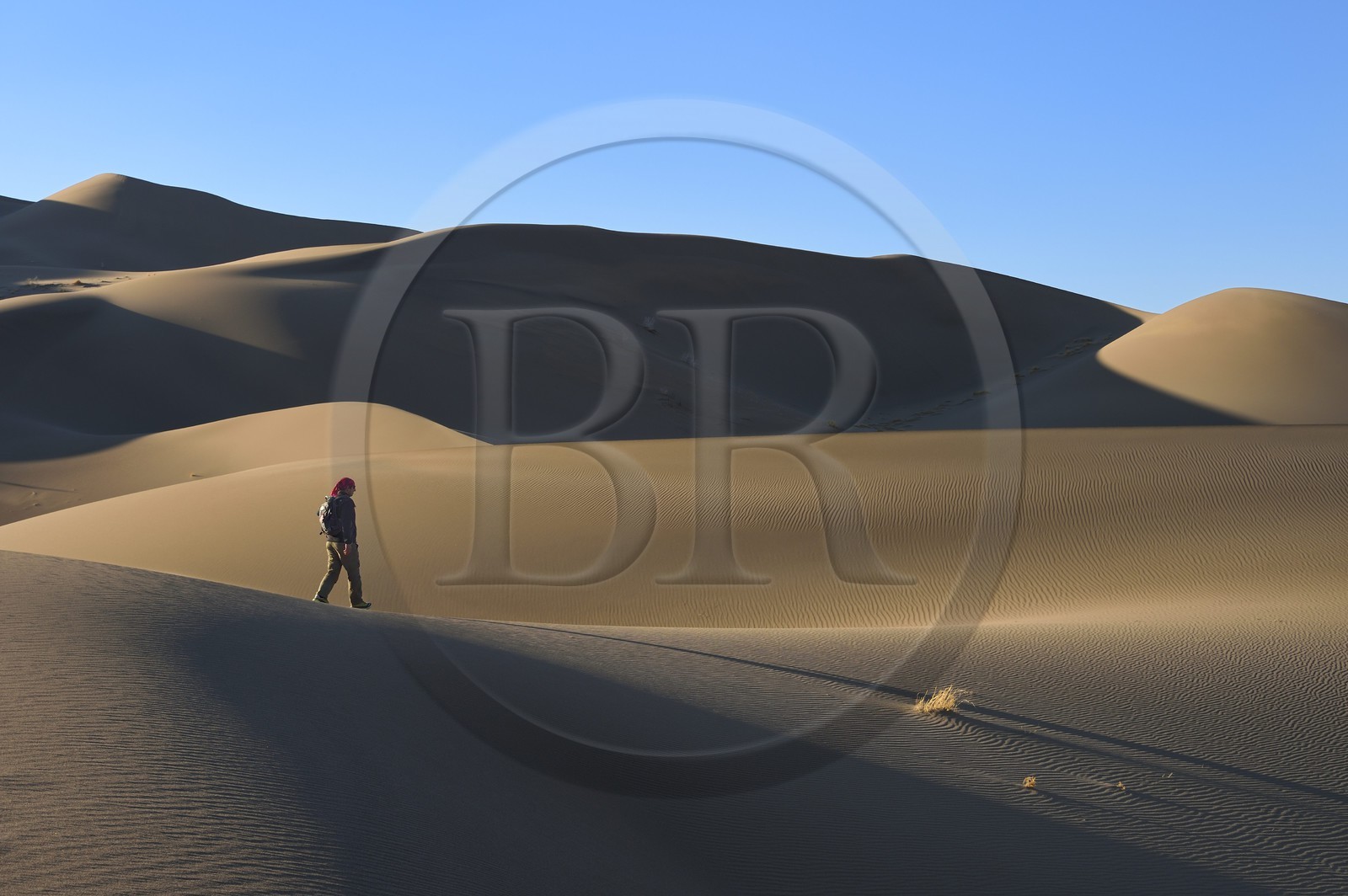 Iran, Province de Yazd, désert du Dasht-e Kavir, Moghestan, randonnée dans le massif dunaire dont la plus haute dune atteint les 200 mètres