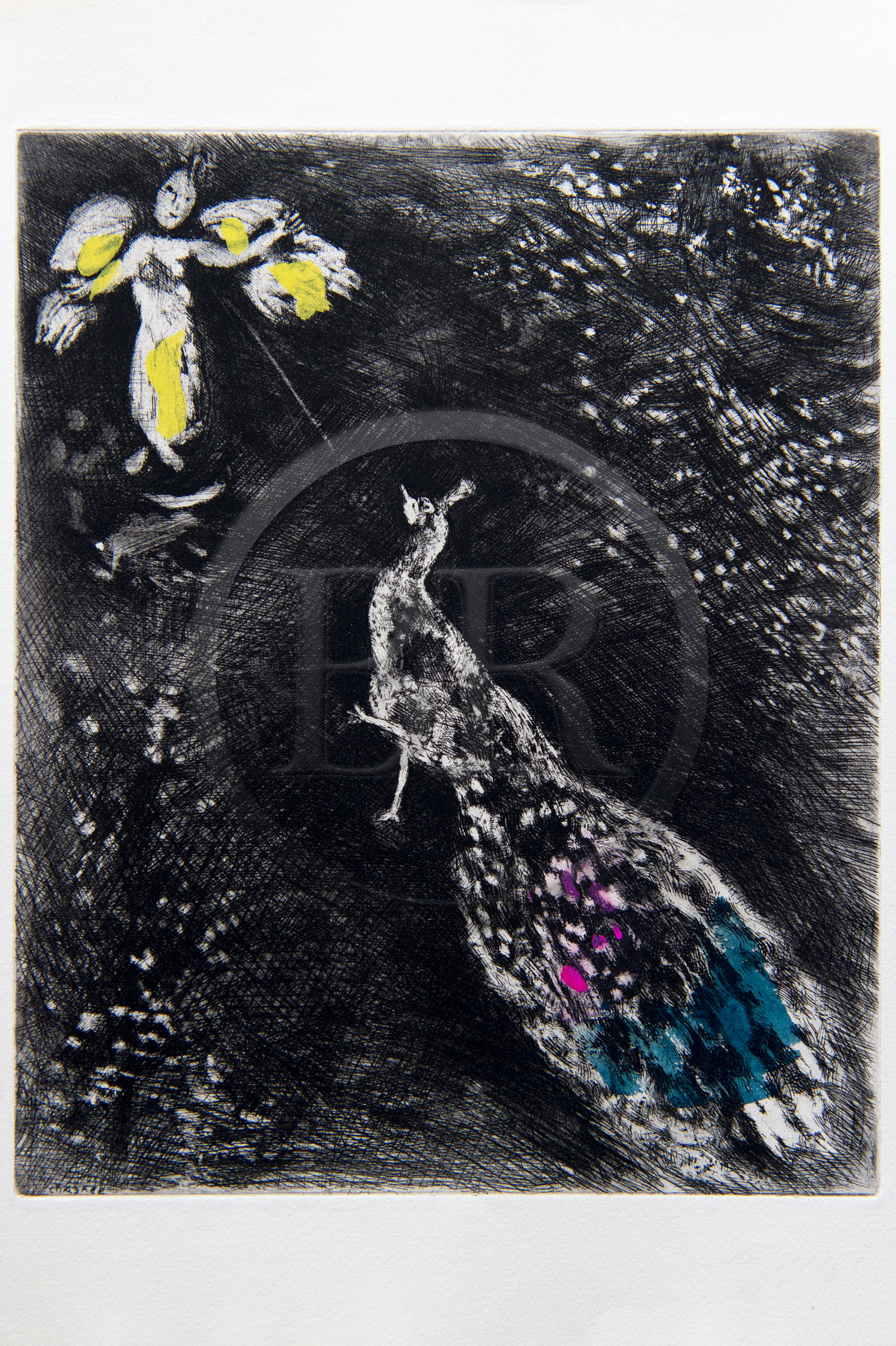 France, Aisne, Château-Thierry, Jean de La Fontaine Museum - city of Chateau-Thierry, illustrations from La Fontaine's Fables, The Peacock Complaining to Juno fable XVII from Book II, prints by Marc Chagall, 1927-1930 (copper engraving), published by Tériade in 1952, etching on wove paper, heightened with gouache and watercolor