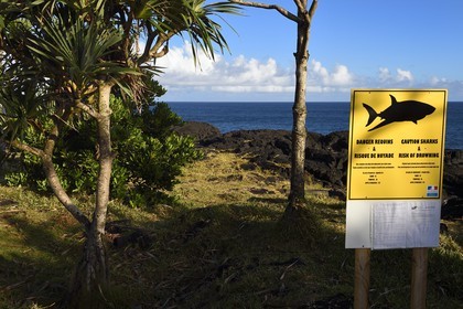 France, Ile de la Reunion, Sainte-Philippe, la côte sud sauvage au Baril, panneau signalant la présence dangereuse de requins