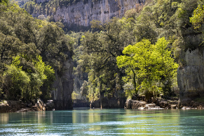 Var on the Left Bank and Alpes de Haute Provence on the Right Bank, Parc Naturel Regional du Verdon, Basses Gorges du Verdon downstream of Lake St. Croix, gorges de Baudinard