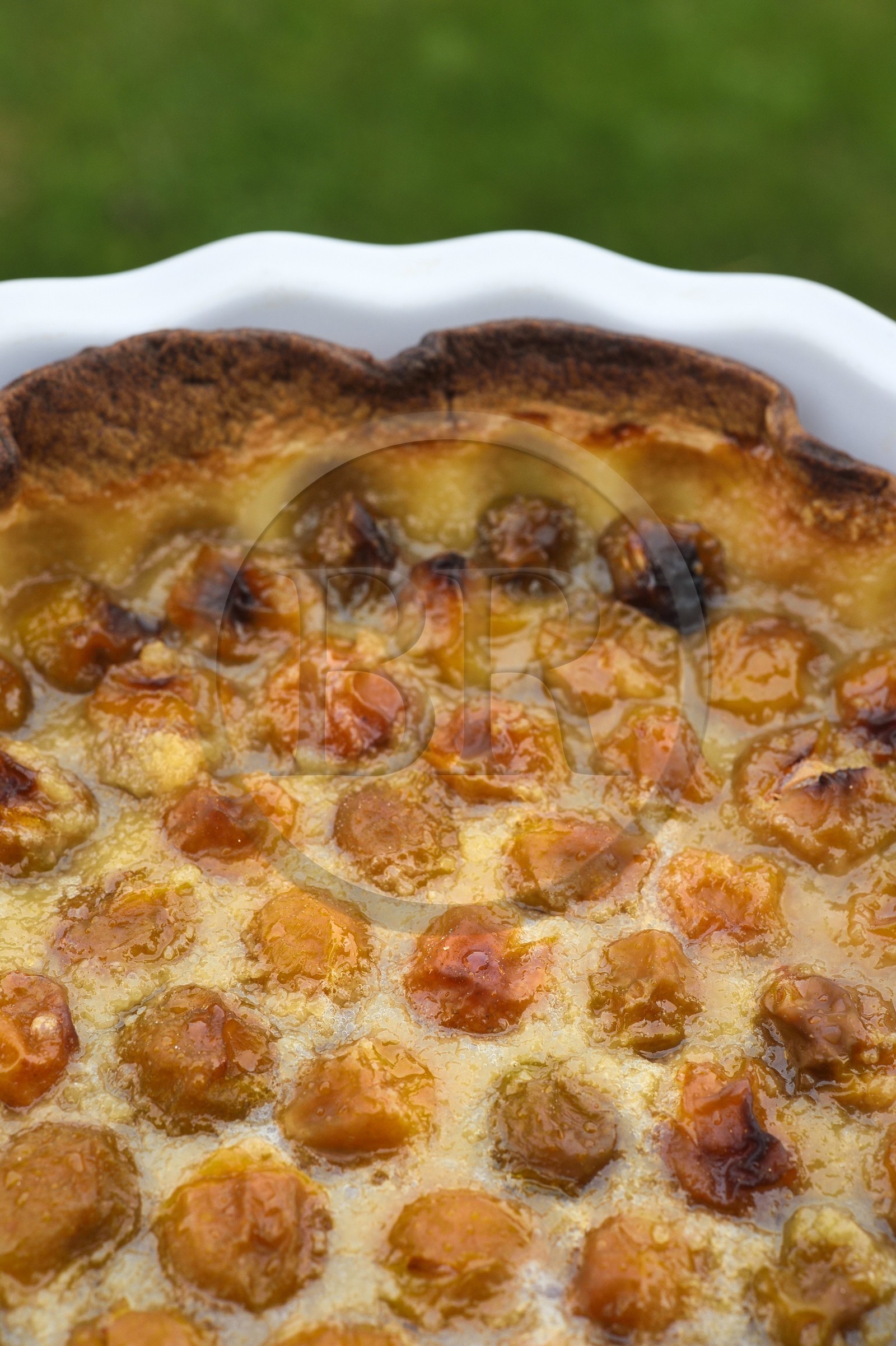 France, tarte aux mirabelles faite maison