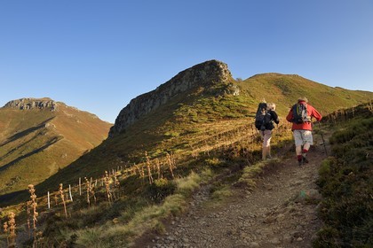 France, Cantal (15), Parc Naturel Régional des Volcans d'Auvergne, Le Lioran, col de Rombière, randonneurs sur le chemin de Saint-Jacques de Compostelle par la Via Arverna, le puy de Peyre Arse à gauche puis le col de Cabre et le Puy Bataillouse à droite en arrière plan