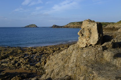 France, Ille-et-Vilaine, St Malo, Rotheneuf, stones sculpted by Foure abbot between 1870 and 1917