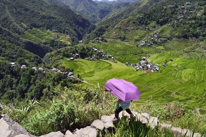 Philippines, Ifugao province, Banaue rice terraces around the village of Batad, listed as World Heritage by UNESCO