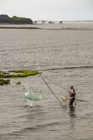 France, Charente-Maritime (17), Port-des-Barques, pêcheur au carrelet et cabanes sur pilotis appelées carrelets en arrière plan