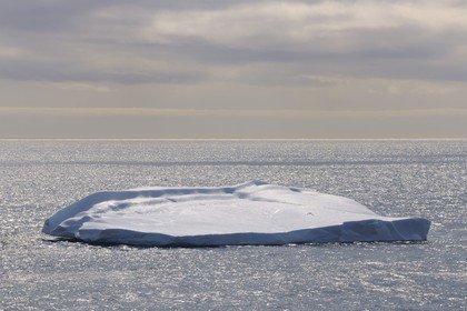 Greenland, Southern Region, iceberg