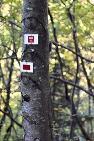 France, Haut Rhin, Ballons des Vosges Regional Natural Park, Rimbach pres Masevaux, GR5 hiking trail sign