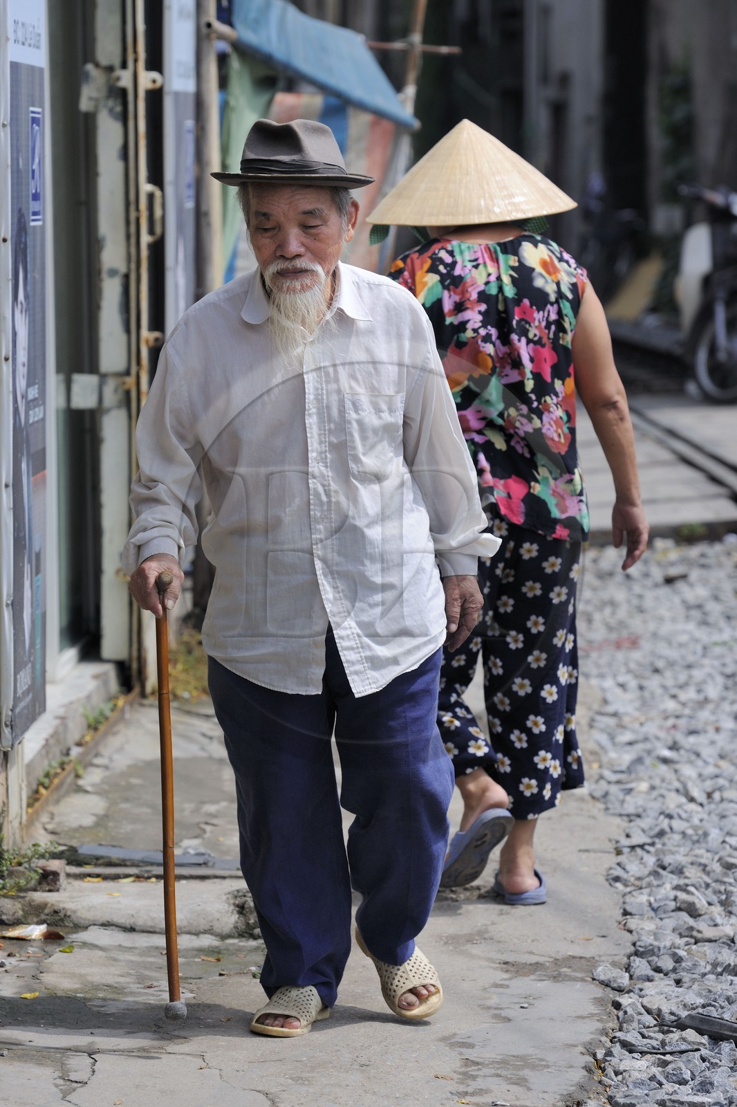 Vietnam, Hanoï, portrait d'un vieil homme avec une barbe semblable à celle d'Ho Chi Minh