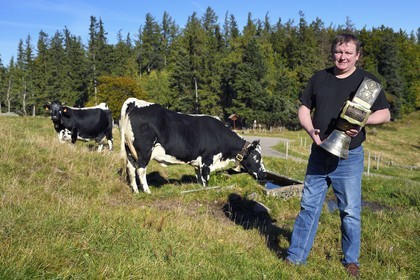 France, Haut-Rhin (68), Wasserbourg, Ferme-auberge Buchwald, le marcaire Michel Wehrey avec ses vaches de race vosgiennes