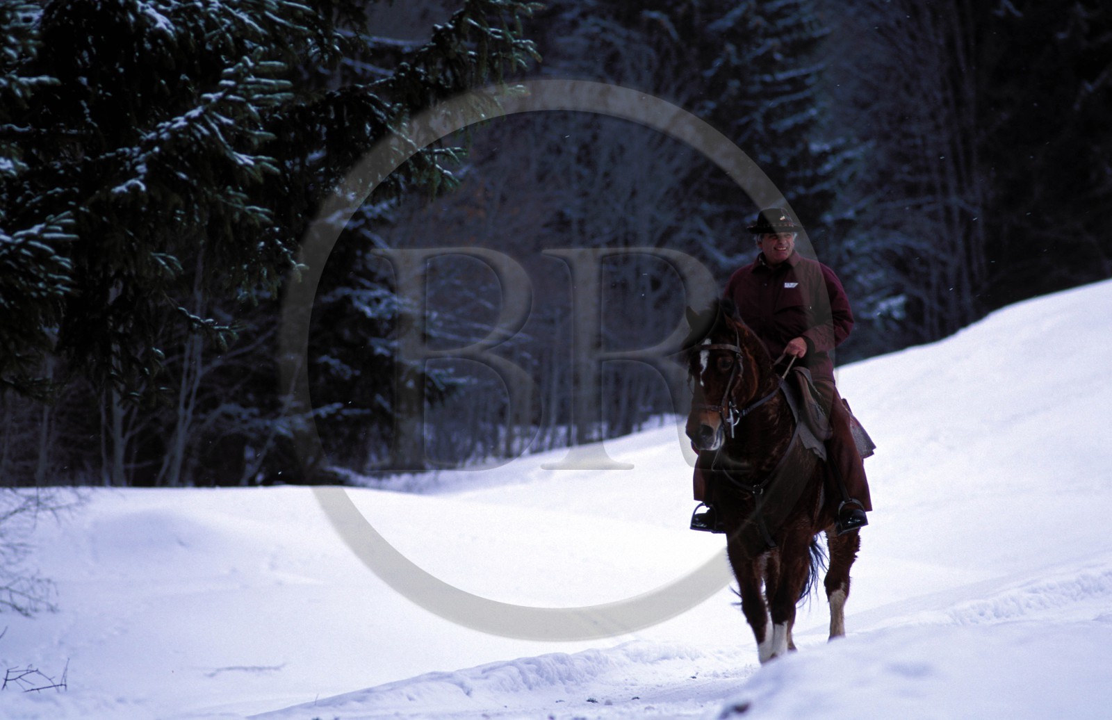 Switzerland, region of Bern (Bernese Oberland), Saanenland, Gstaad, the postman riding a horse in the snow