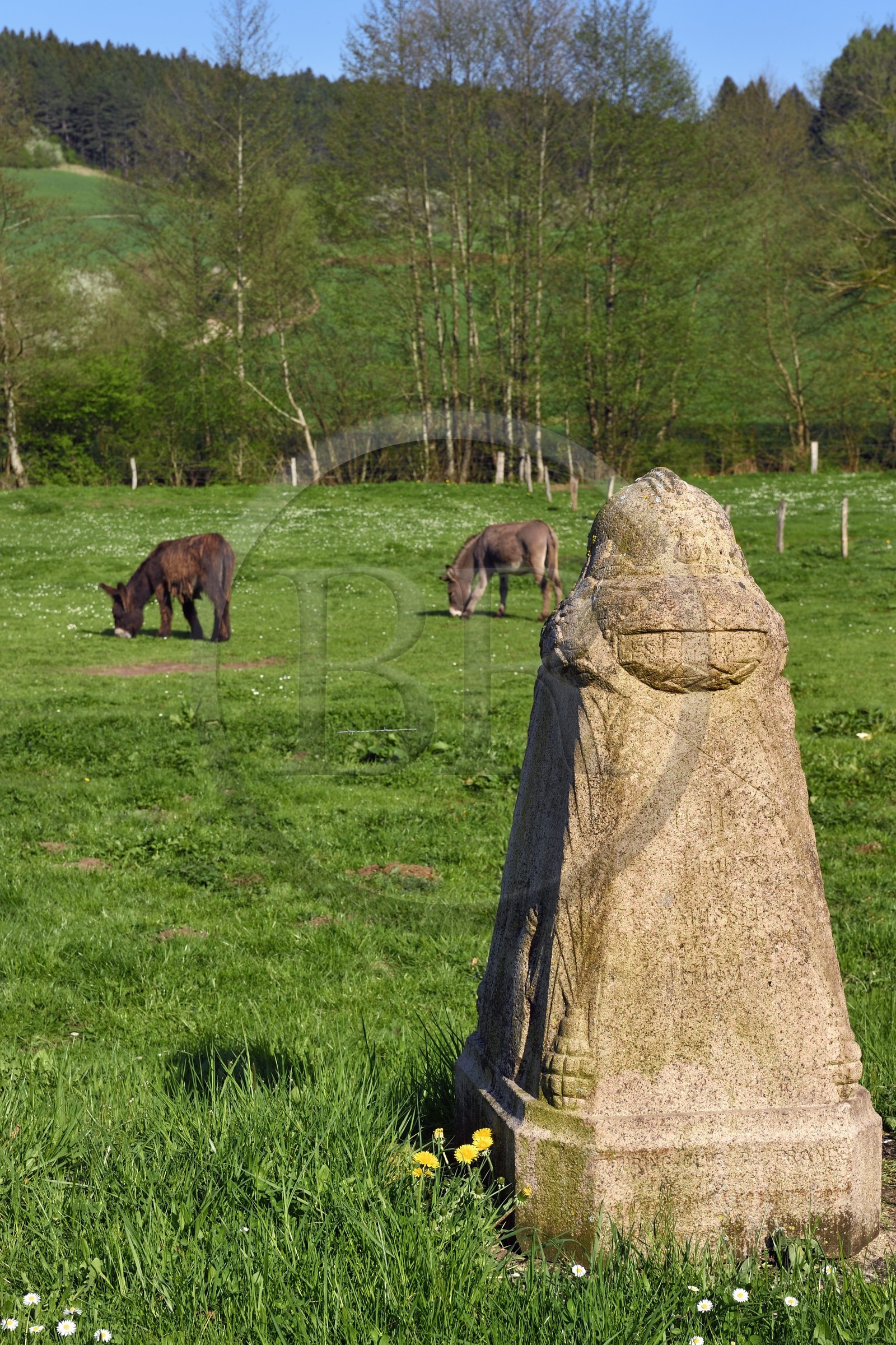 France, Meuse (55), Parc régional de Lorraine, Cotes de Meuse, Les Éparges, traces des combats d’une des luttes les plus meurtrières de la Première Guerre mondiale, borne mémorial