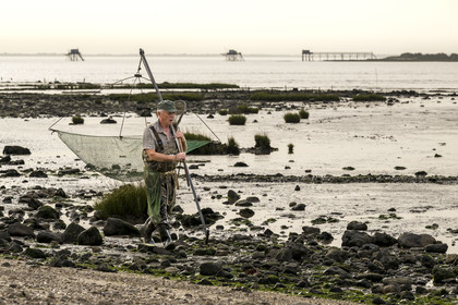 France, Charente-Maritime (17), Port-des-Barques, pêcheur au carrelet et cabanes sur pilotis appelées carrelets en arrière plan