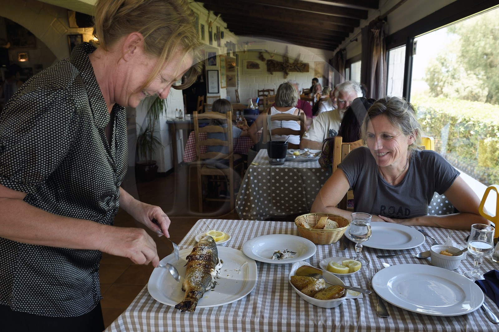 France, Bouches-du-Rhône (13), Parc naturel régional de Camargue, restaurant le Mazet du Vaccarès