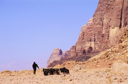 Jordan, Wadi Rum, Bedouin with her herd of goats
