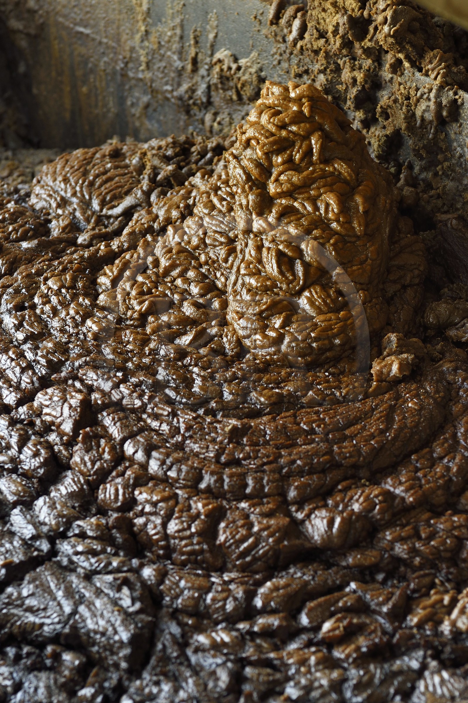 France, Ile de la Reunion, Saint-Louis, l'usine sucrière du Gol utilisant la canne à sucre, mélasse des résidus de la cristallisation France, Ile de la Reunion, Saint-Louis, l'usine sucrière du Gol utilisant la canne à sucre, mélasse des résidus de la cristallisation