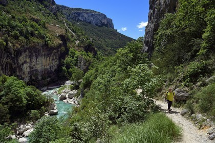 France, Alpes de Haute Provence, Parc Naturel Régional du Verdon, Rougon, Grand Canyon of Verdon next to the corridor Samson and the trail sentier Blanc-Martel on the GR4