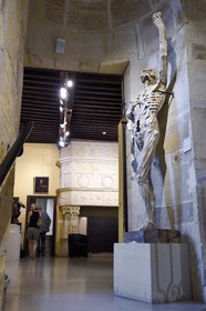 France, Meuse, Bar le Duc, Castle of the dukes of Bar sheltering the Museum barrois with a molding from the Skeleton by sculptor Ligier Richier (16th century)