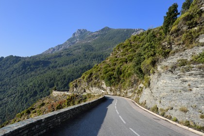 France, Haute Corse, Castagniccia, road in the heights of La Porta at the foot of mount San Petrone
