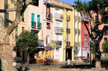 France, Pyrénées-Orientales (66), Collioure, café sur le front de mer