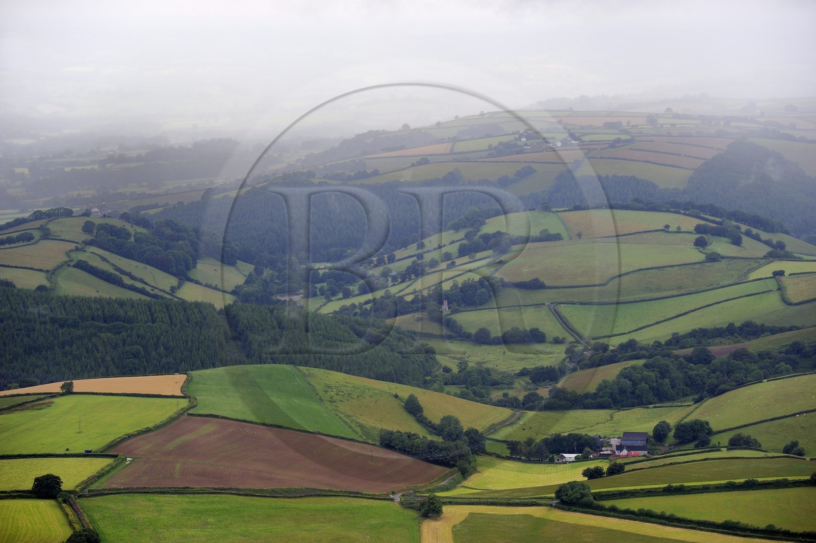 Royaume-Uni, Angleterre, Somerset, champs et foret dans la région de Wiveliscombe (vue aérienne)