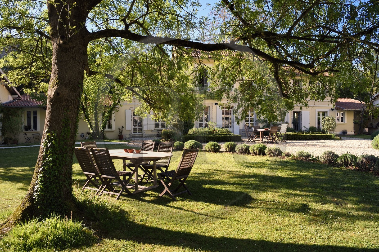 France, Charente (16), Bourg-Charente, chambres d'hotes le Domaine des Platanes